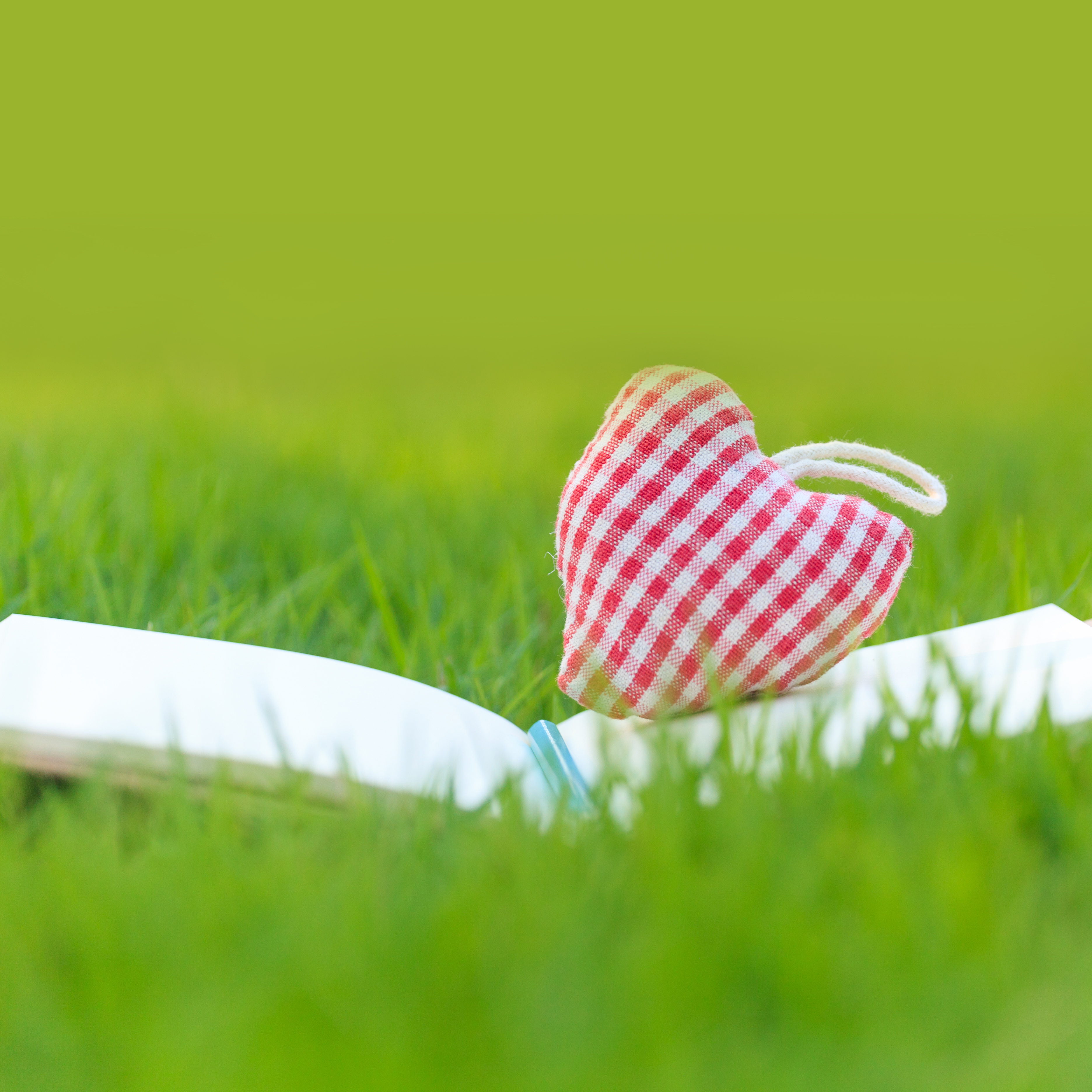 A Self-Love Challenge: Dear Beautiful You