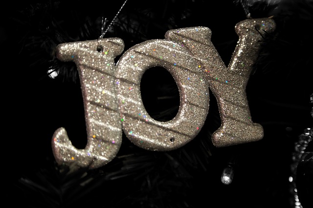 Choosing a Family Word of the Year - JOY - Abundant Mama