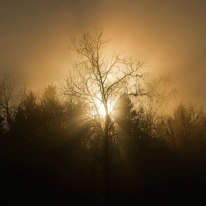 The One Morning Habit that Can Transform Your Anger Forever
