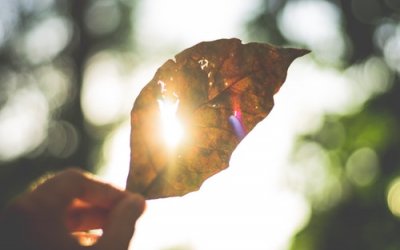 A Message for the Woman Ready to Let her Soul Shine