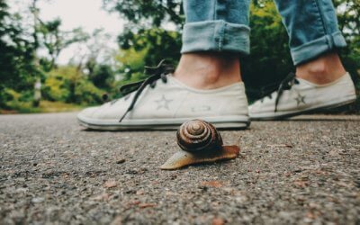 {Guest Post} Turning Away from Pandemonium