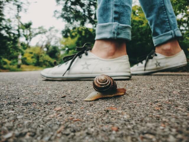 {Guest Post} Turning Away from Pandemonium